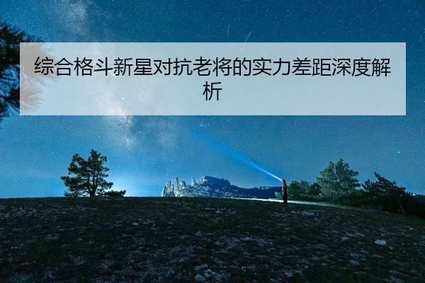 综合格斗新星对抗老将的实力差距深度解析
